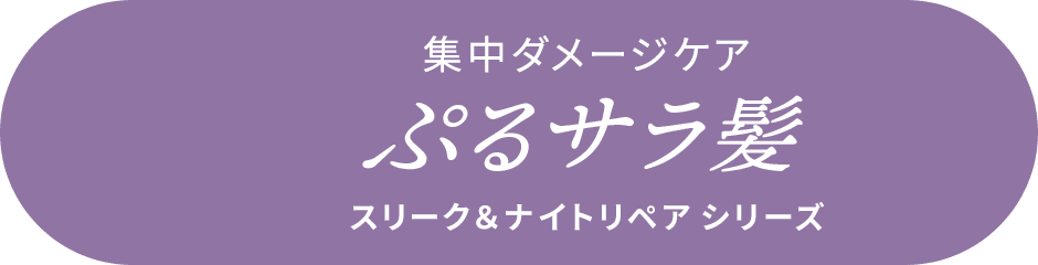 集中ダメージケア ぷるサラ髪 スリーク＆ナイトリペアシリーズ